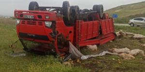 Amasya’da yaşanan trafik kazasında bir kamyon yoldan çıkarak tarlaya uçtu. Ters dönen kamyonun sürücüsü yaralandı.
